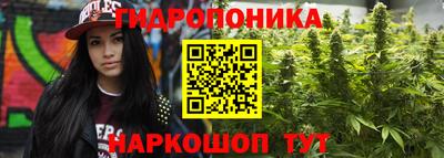 mdma Сланцы